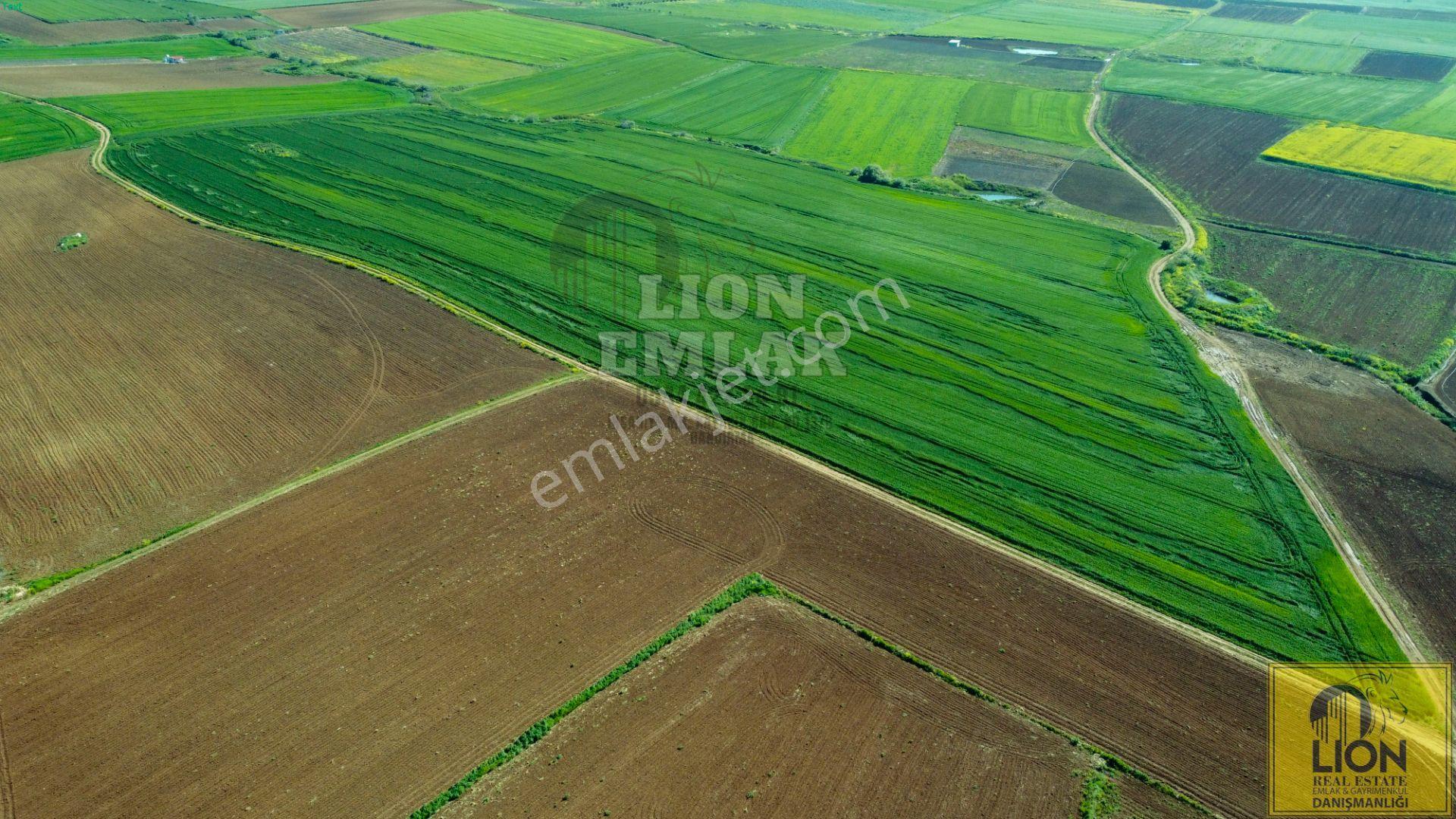 🟨⬛ Lıon Emlak'tan Bandırma Kayacık Mahallesinde 2448 M² Fırsat Tarla⬛🟨 - Görsel 15