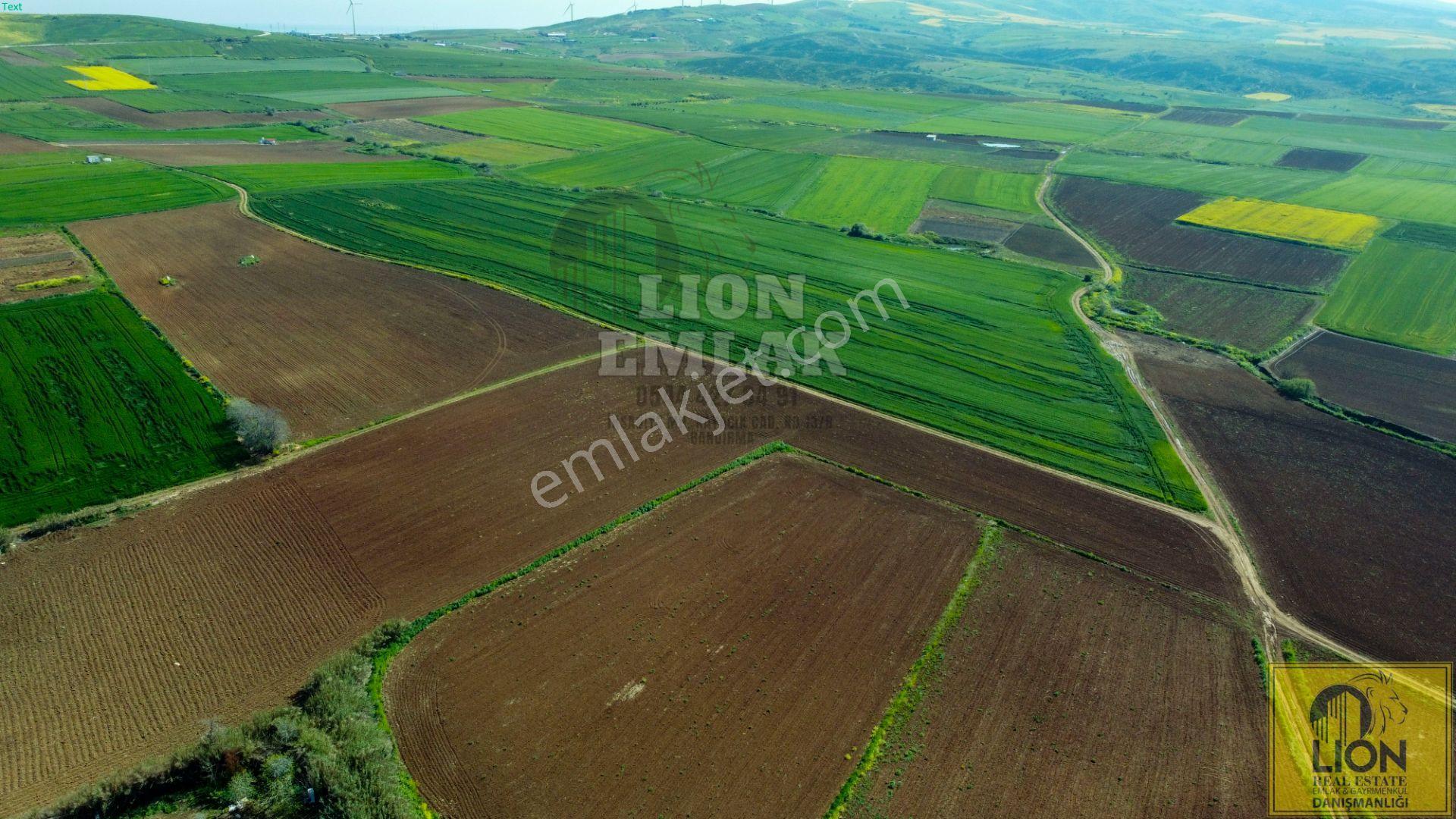 🟨⬛ Lıon Emlak'tan Bandırma Kayacık Mahallesinde 2448 M² Fırsat Tarla⬛🟨 - Görsel 19