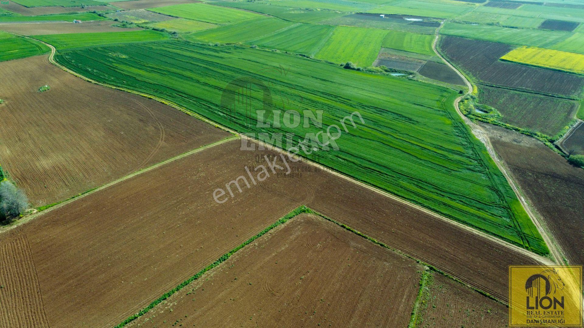🟨⬛ Lıon Emlak'tan Bandırma Kayacık Mahallesinde 2448 M² Fırsat Tarla⬛🟨 - Görsel 16