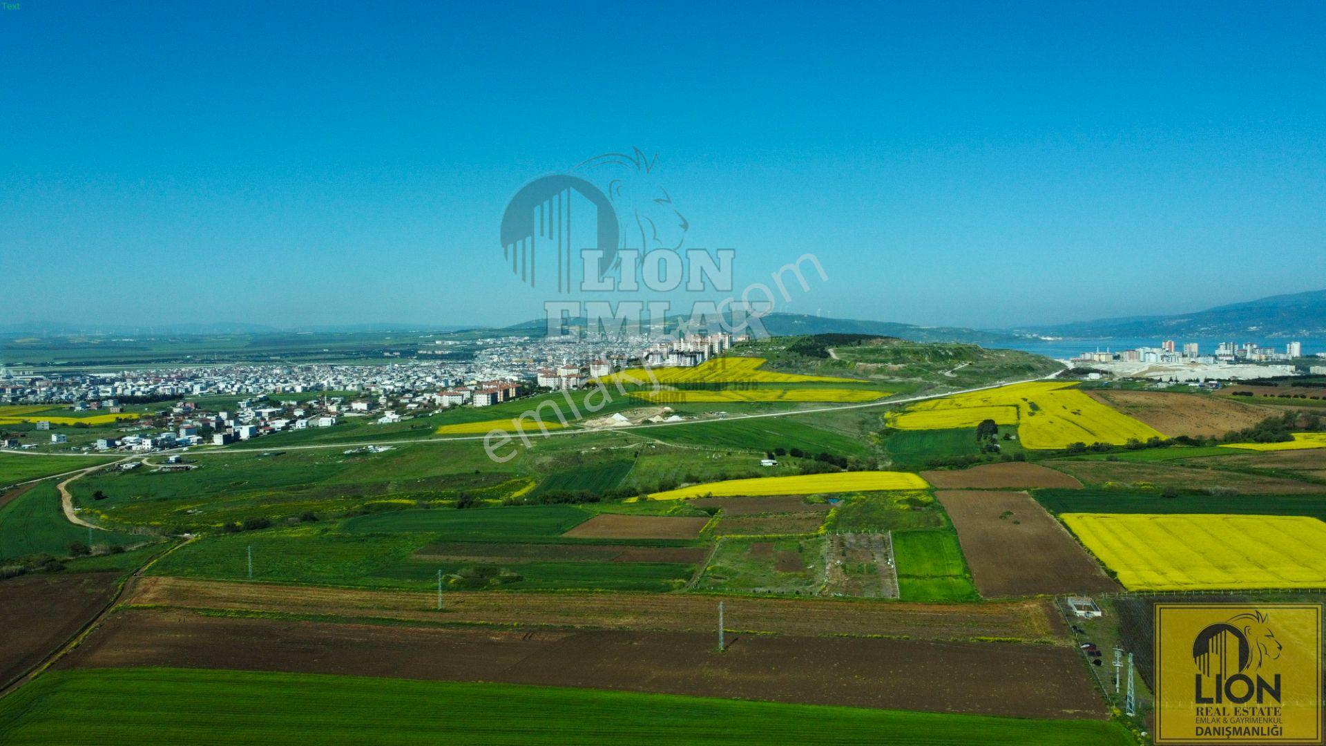 🟨⬛ Lıon Emlak'tan Bandırma Kayacık Mahallesinde 2448 M² Fırsat Tarla⬛🟨 - Görsel 2