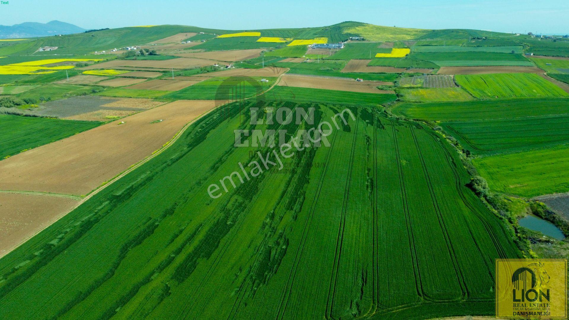 🟨⬛ Lıon Emlak'tan Bandırma Kayacık Mahallesinde 2448 M² Fırsat Tarla⬛🟨 - Görsel 9