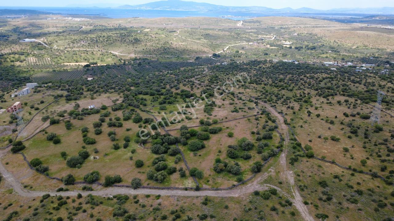 Hacıömerlide 35028m2 Satılık Arazi