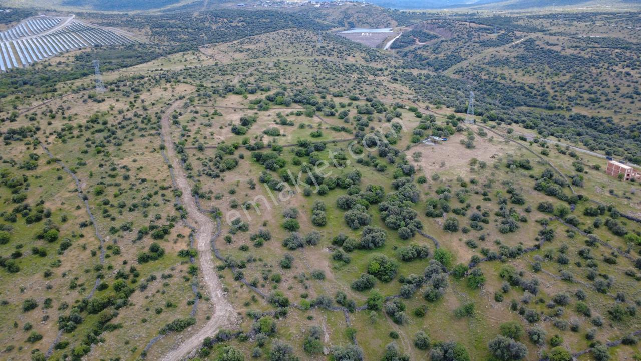 Hacıömerlide 35028m2 Satılık Arazi - Görsel 5