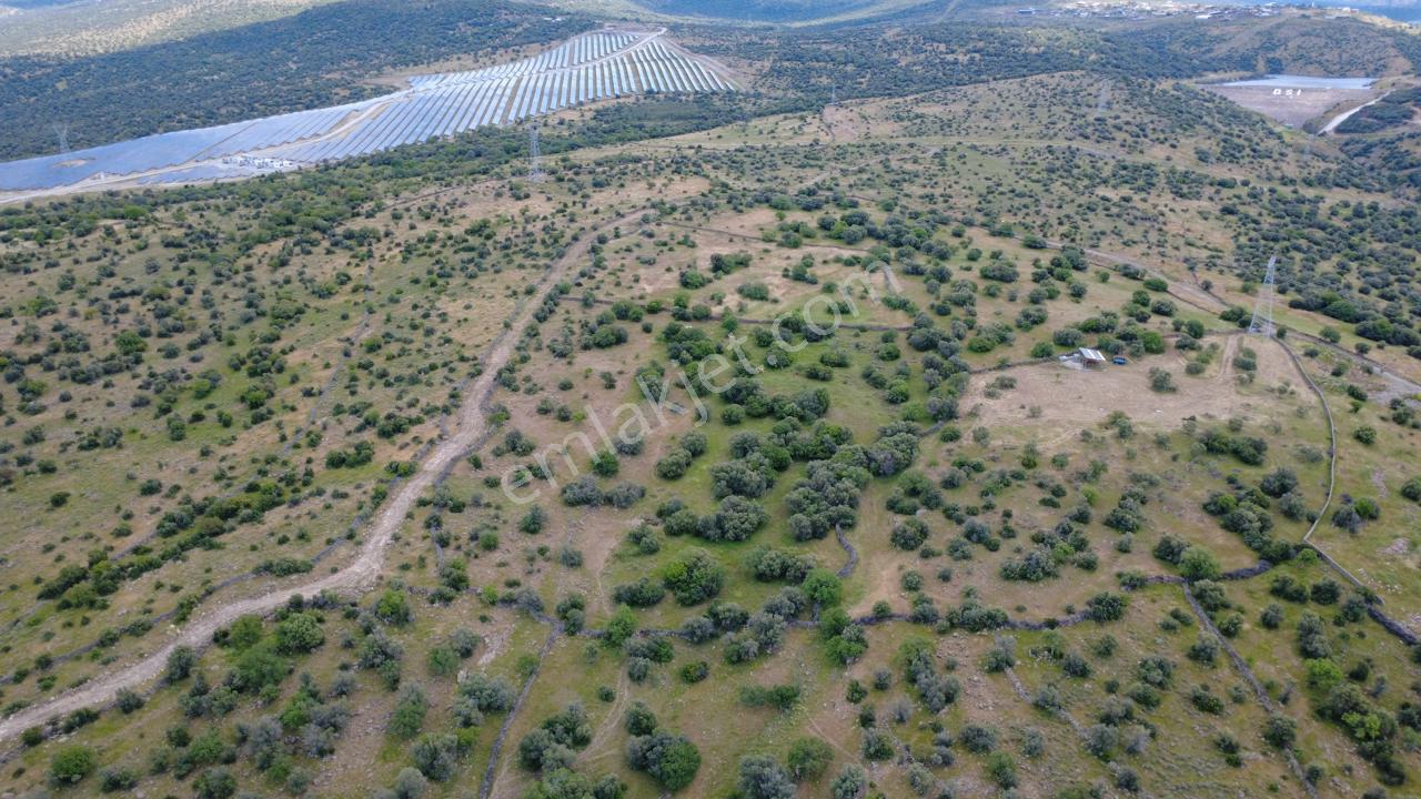 Hacıömerlide 35028m2 Satılık Arazi - Görsel 14