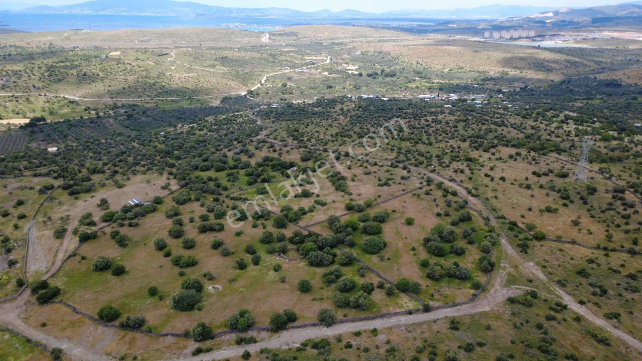 Hacıömerlide 35028m2 Satılık Arazi - Görsel 20