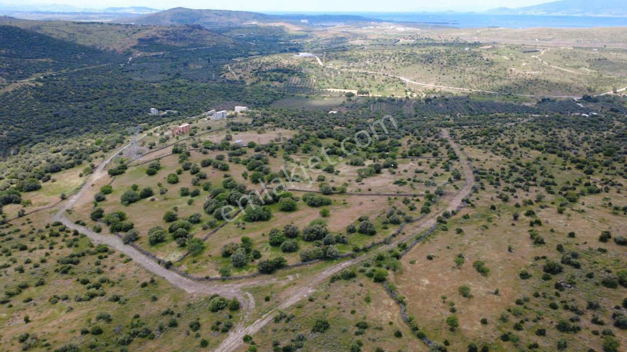 Hacıömerlide 35028m2 Satılık Arazi - Görsel 19