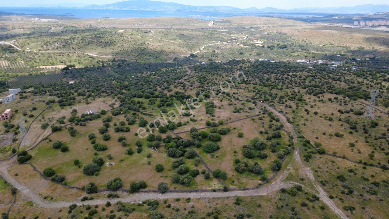 Hacıömerlide 35028m2 Satılık Arazi - Görsel 24
