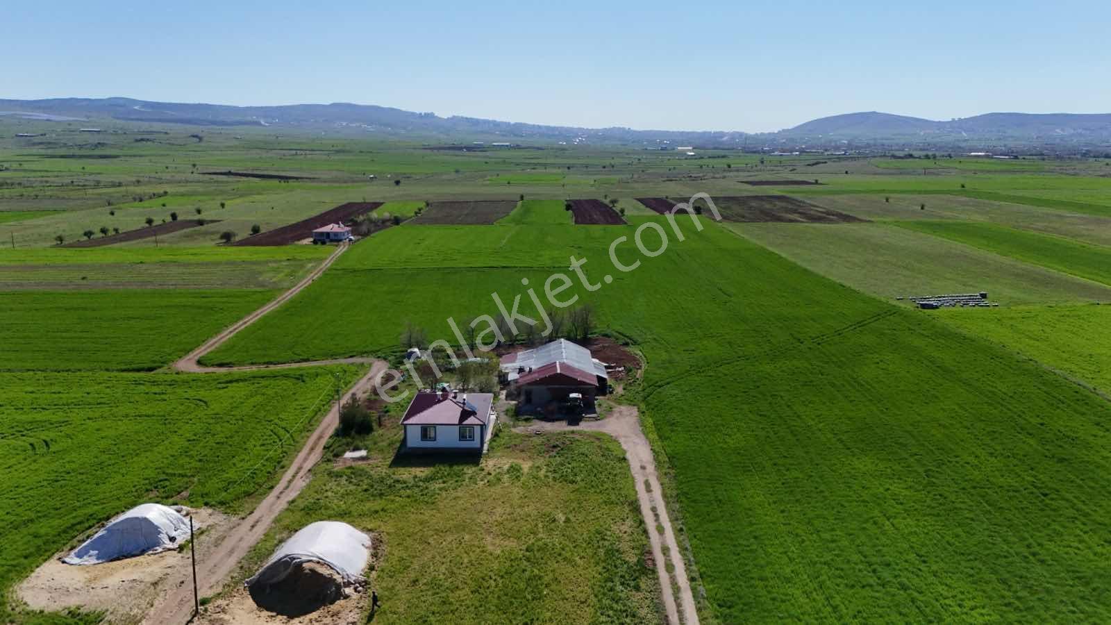 Ümit Emlak| Cip Te 6.125m2 İdeal Yatırımlık Tarla|harika Konumlu - Görsel 11