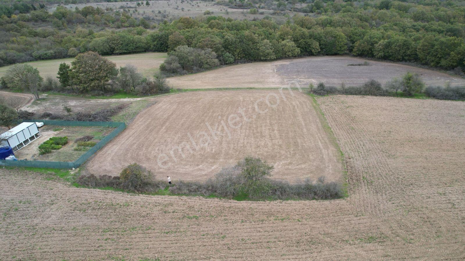 Silivri Çayırdere 2784 M2 Tarla Müstakil Tapulu - Görsel 12