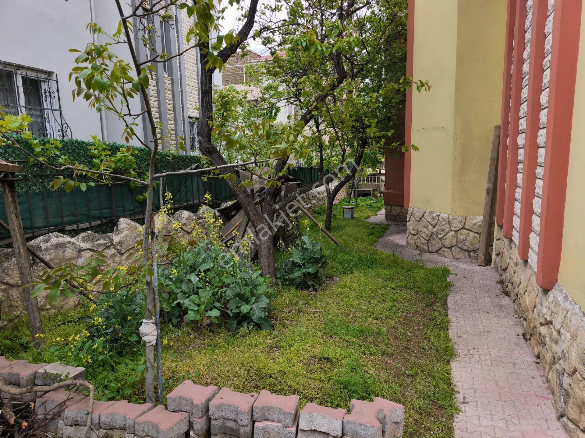 Almayan Pişman Olacak Satılık 440 M2 Arsa Ve Tripleks Lüks Villa - Görsel 11