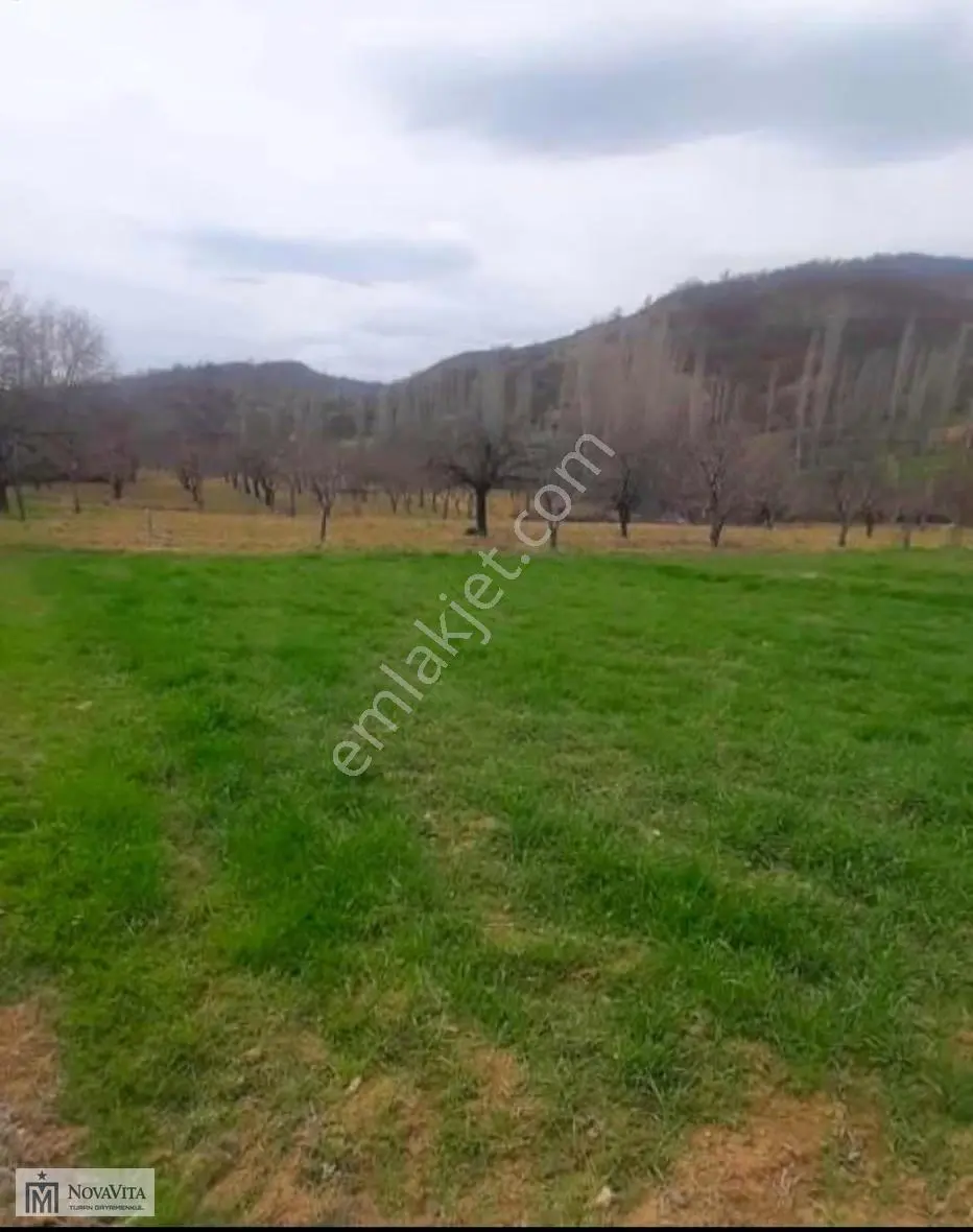 Demirci Köyü Satılık Tek Tapu 465 M2 Yolu Suyu Olan Arsa