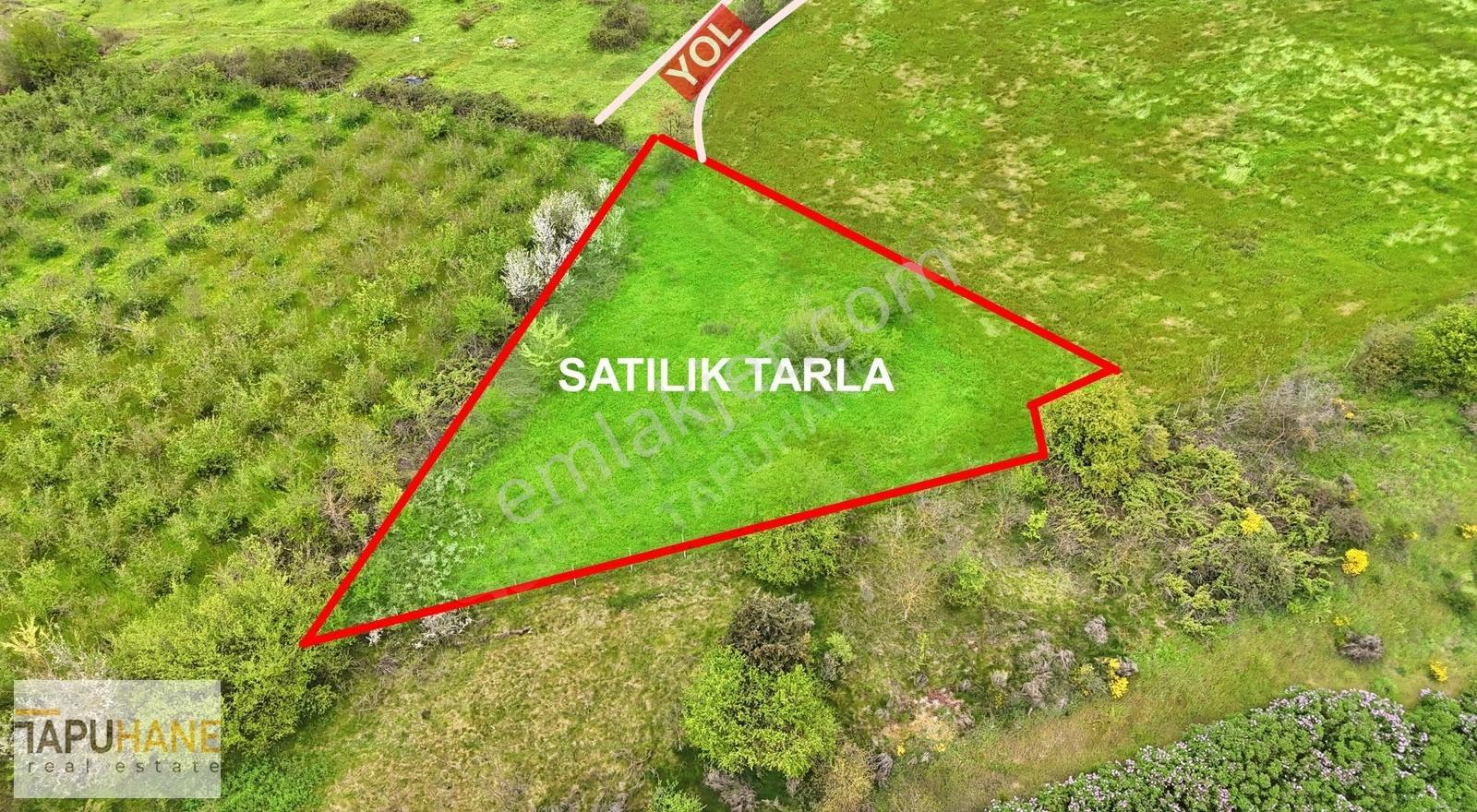 Tapuhane'den Sanayi İmarına Sınır Fırsat Satılık Tarla - Görsel 2