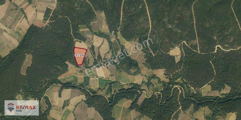 Remax Mid Yenice Sazak Köyünde 11.383 M2 Satılık Tarla - Görsel 3