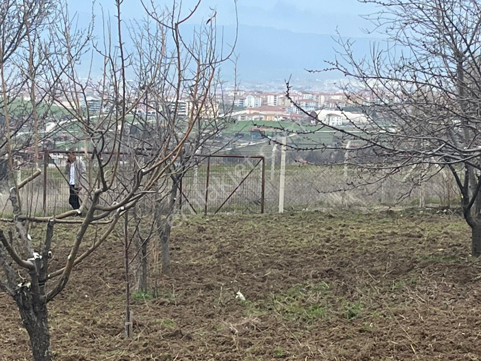 Arkadaş Emlaktan Eski Ekinde Satılık Hobi Bahçesi - Görsel 8