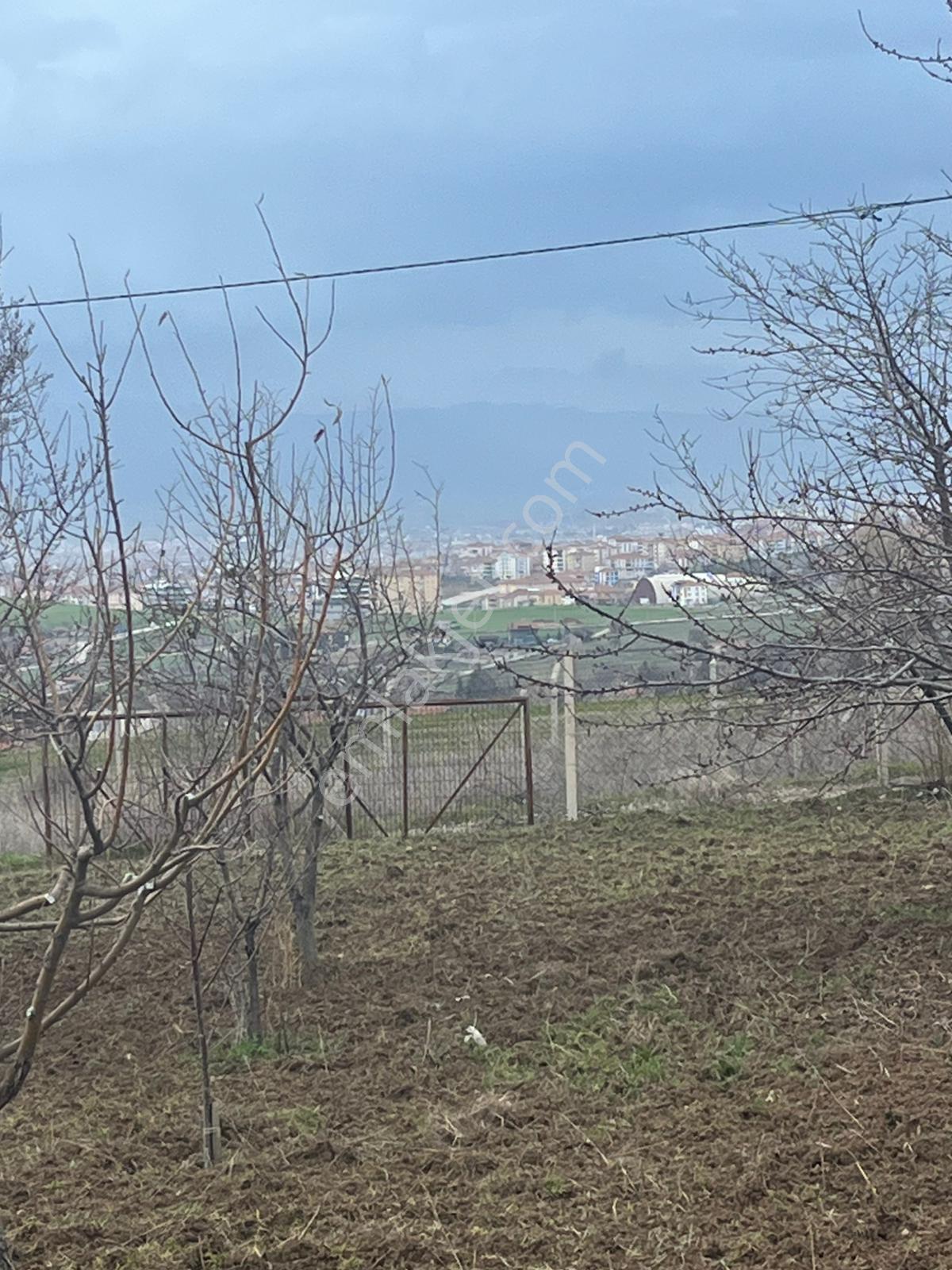 Arkadaş Emlaktan Eski Ekinde Satılık Hobi Bahçesi - Görsel 7
