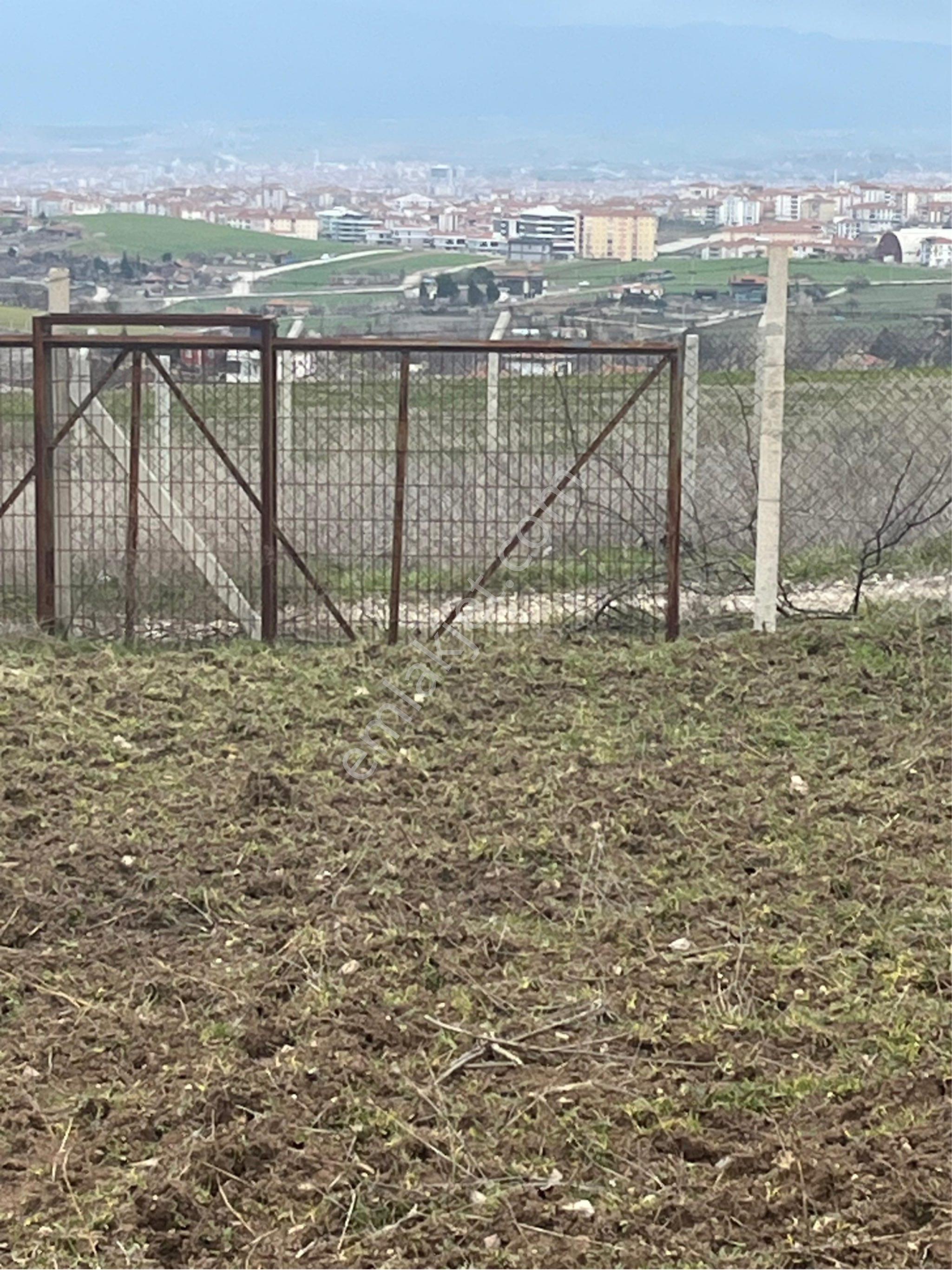 Arkadaş Emlaktan Eski Ekinde Satılık Hobi Bahçesi - Görsel 2