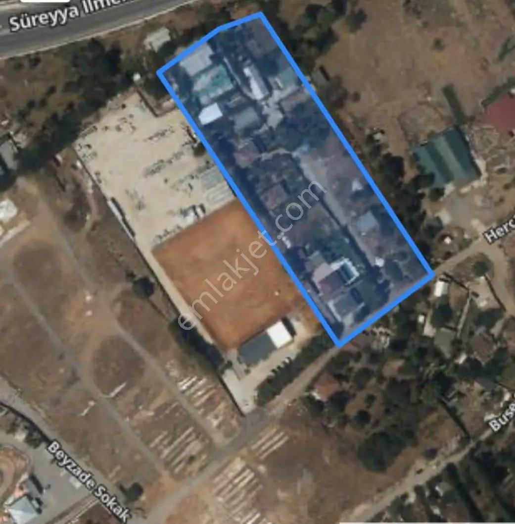 Başıbüyük Kuyular Düzünde Satılık 1000 M2 Tarla !! - Görsel 3