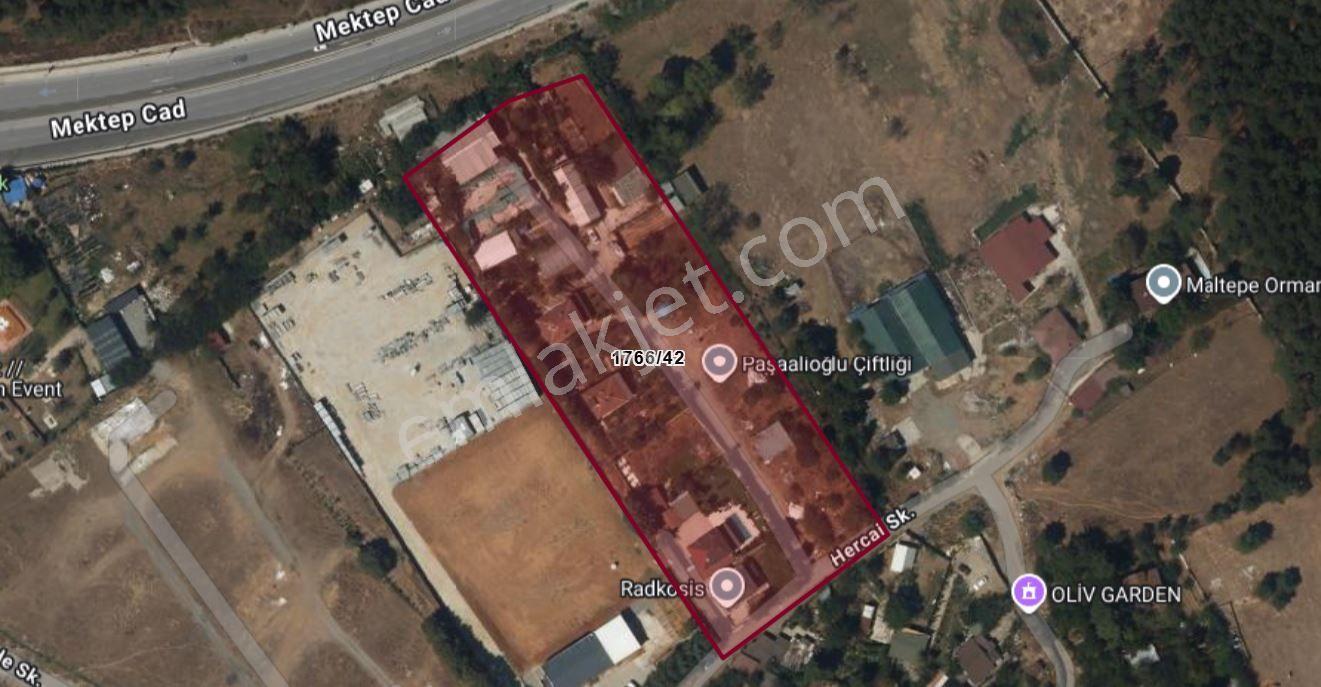 Başıbüyük Kuyular Düzünde Satılık 1000 M2 Tarla !!
