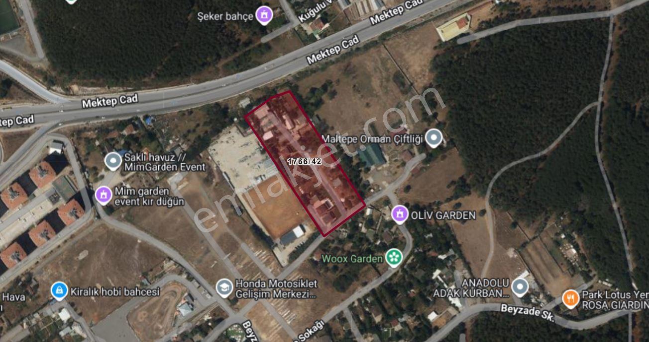 Başıbüyük Kuyular Düzünde Satılık 1000 M2 Tarla !! - Görsel 8