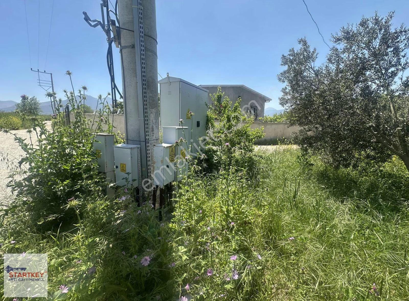 İzmir Kemalpaşa Aşağıkızılca Da Yola Cepheli 3999m2 Satılık Bağ - Görsel 3