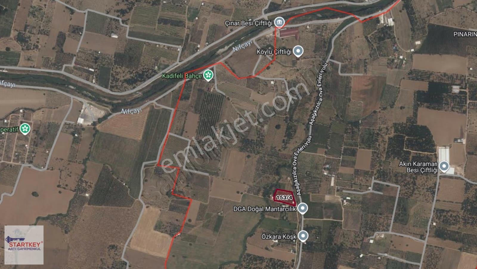 İzmir Kemalpaşa Aşağıkızılca Da Yola Cepheli 3999m2 Satılık Bağ - Görsel 11