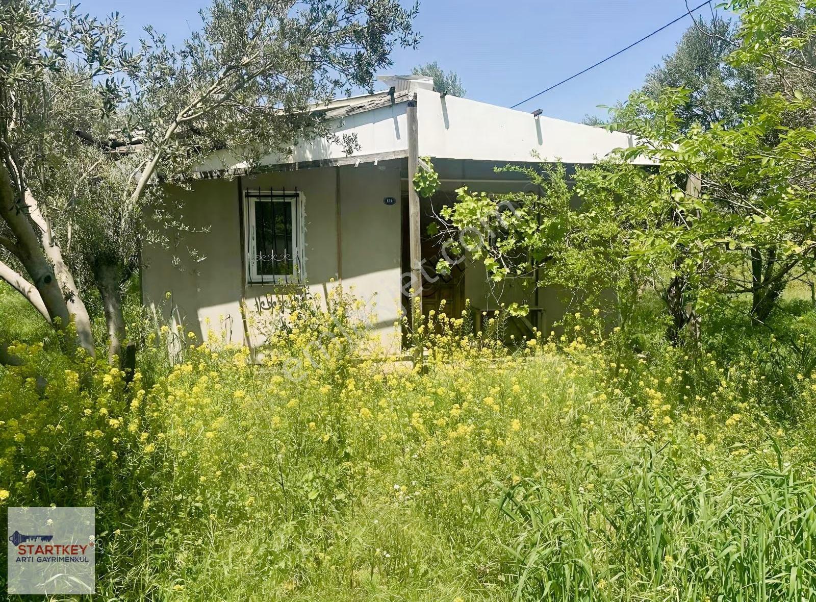İzmir Kemalpaşa Aşağıkızılca Da Yola Cepheli 3999m2 Satılık Bağ