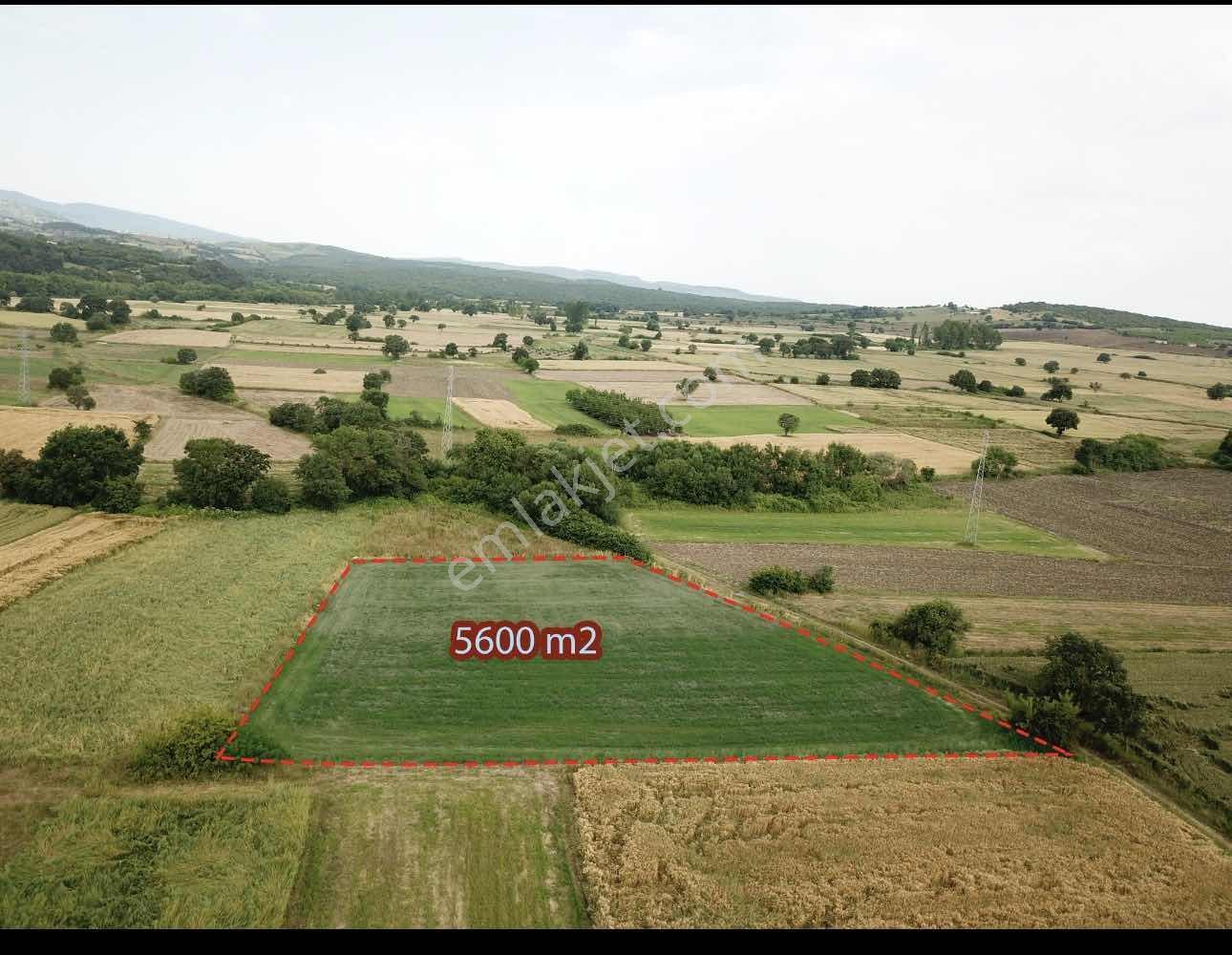 Resmi Yola 130 Mt Cephe - Köy Merkezine 500 Mt - Çiftlik Arazisi