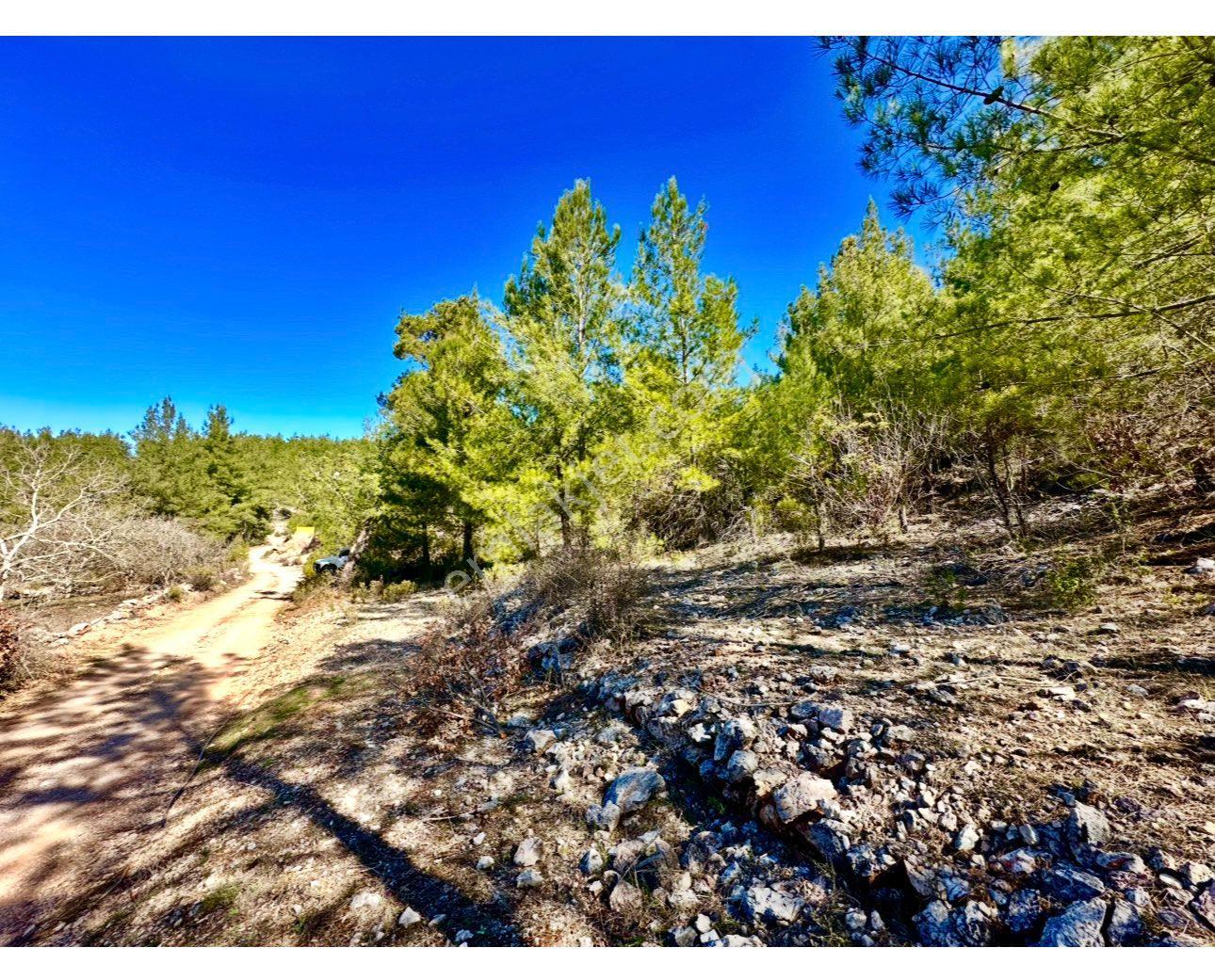 Alanya Karamanlarda Satılık 615 M2 Tarla - Görsel 8