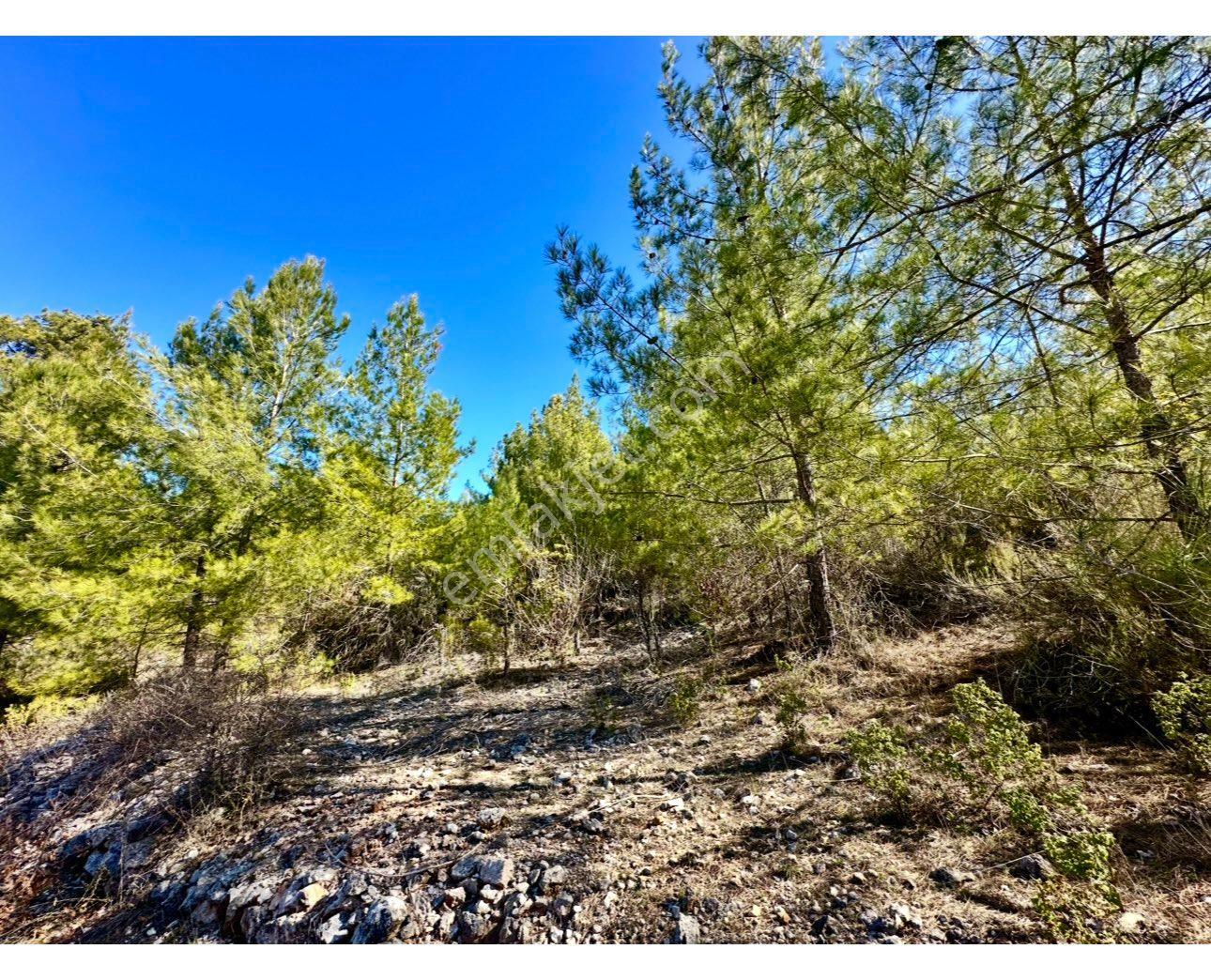 Alanya Karamanlarda Satılık 615 M2 Tarla - Görsel 14