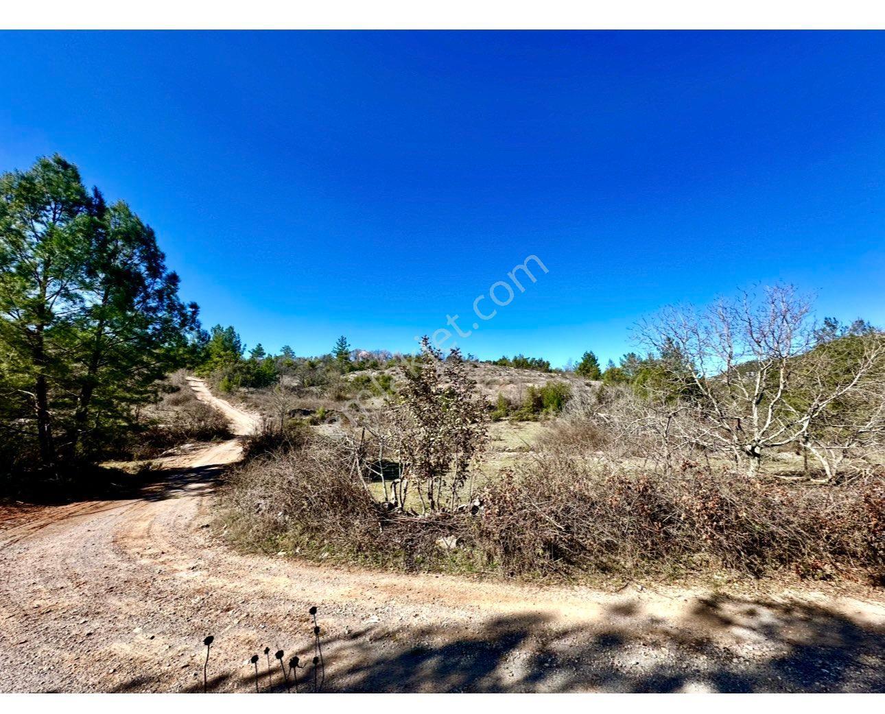 Alanya Karamanlarda Satılık 615 M2 Tarla - Görsel 13