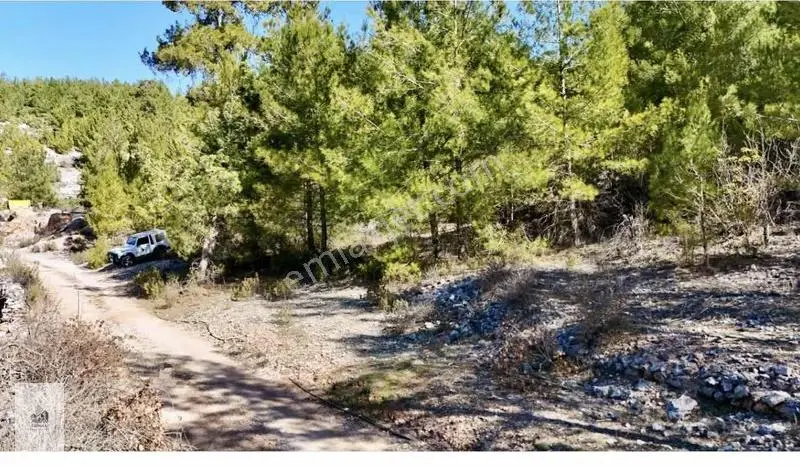 Alanya Karamanlarda Satılık 615 M2 Tarla - Görsel 4