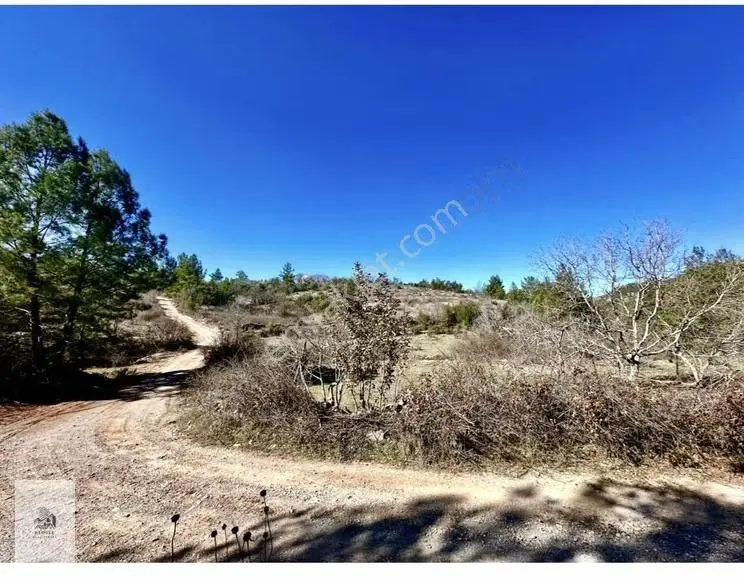 Alanya Karamanlarda Satılık 615 M2 Tarla - Görsel 2