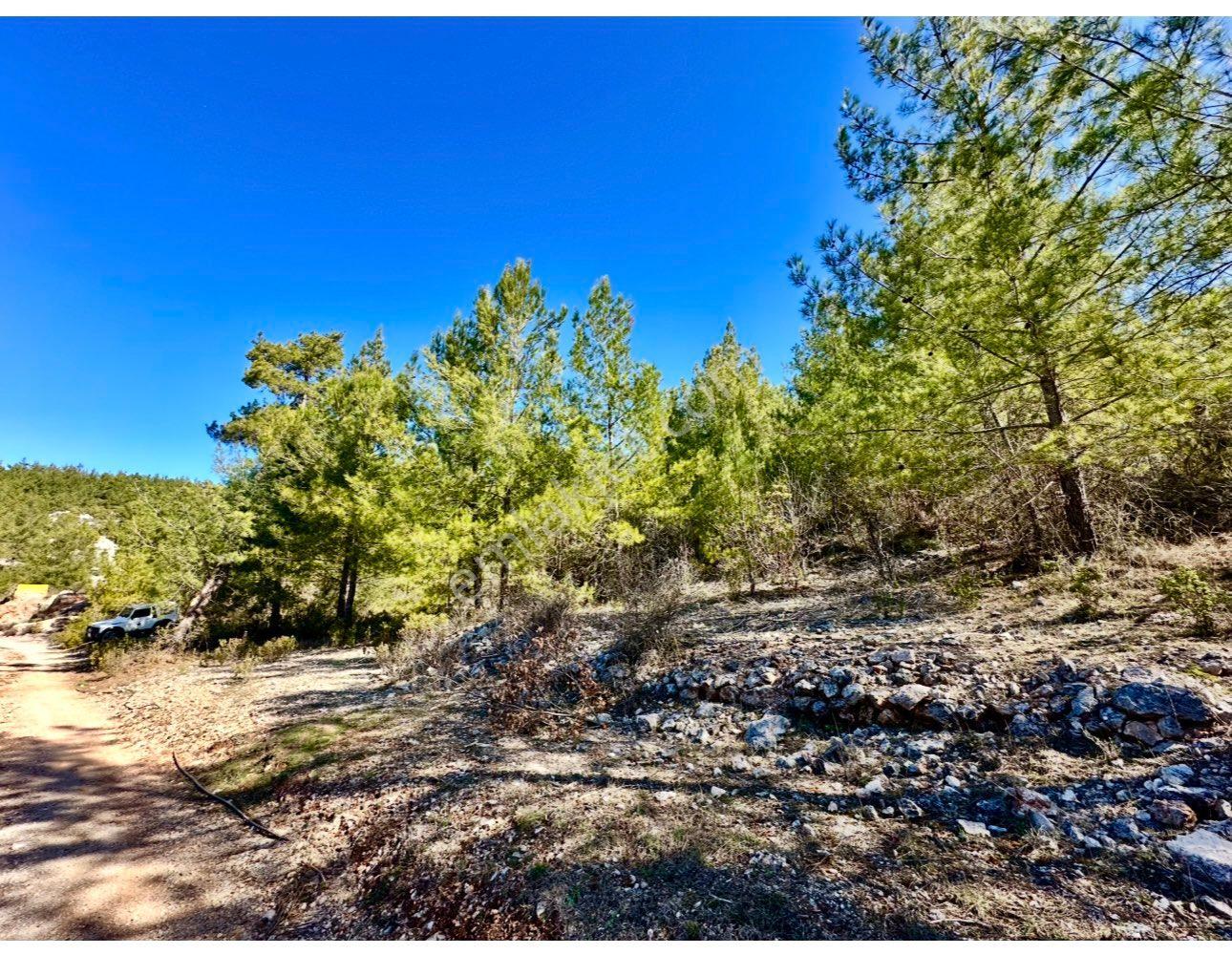 Alanya Karamanlarda Satılık 615 M2 Tarla - Görsel 9