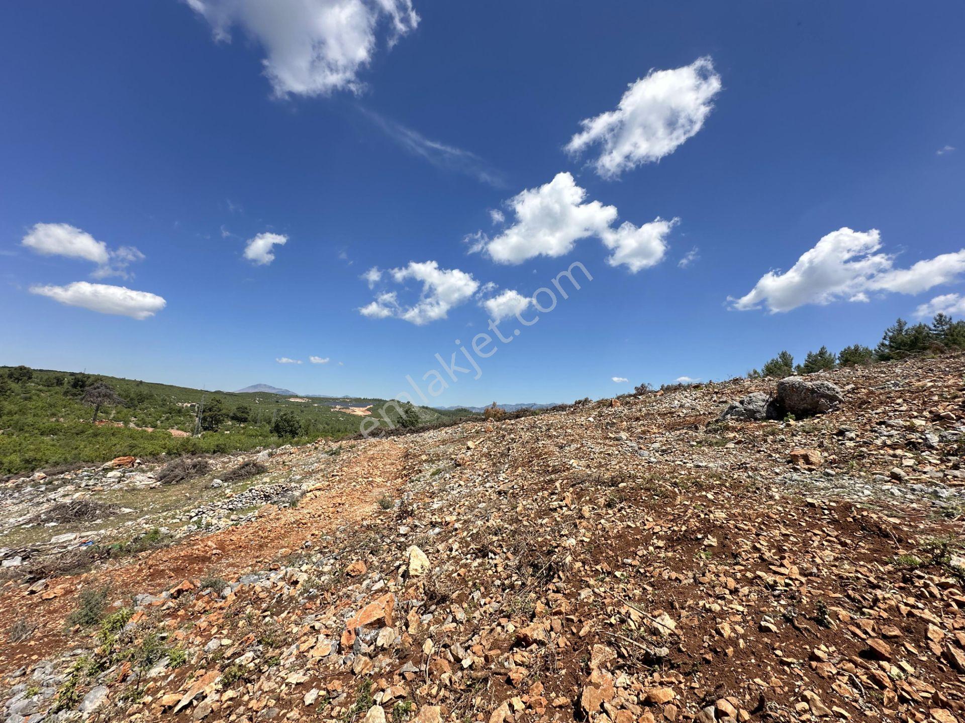 Alanya Karamanlarda Satılık 7.300 M2 Tarla - Görsel 13