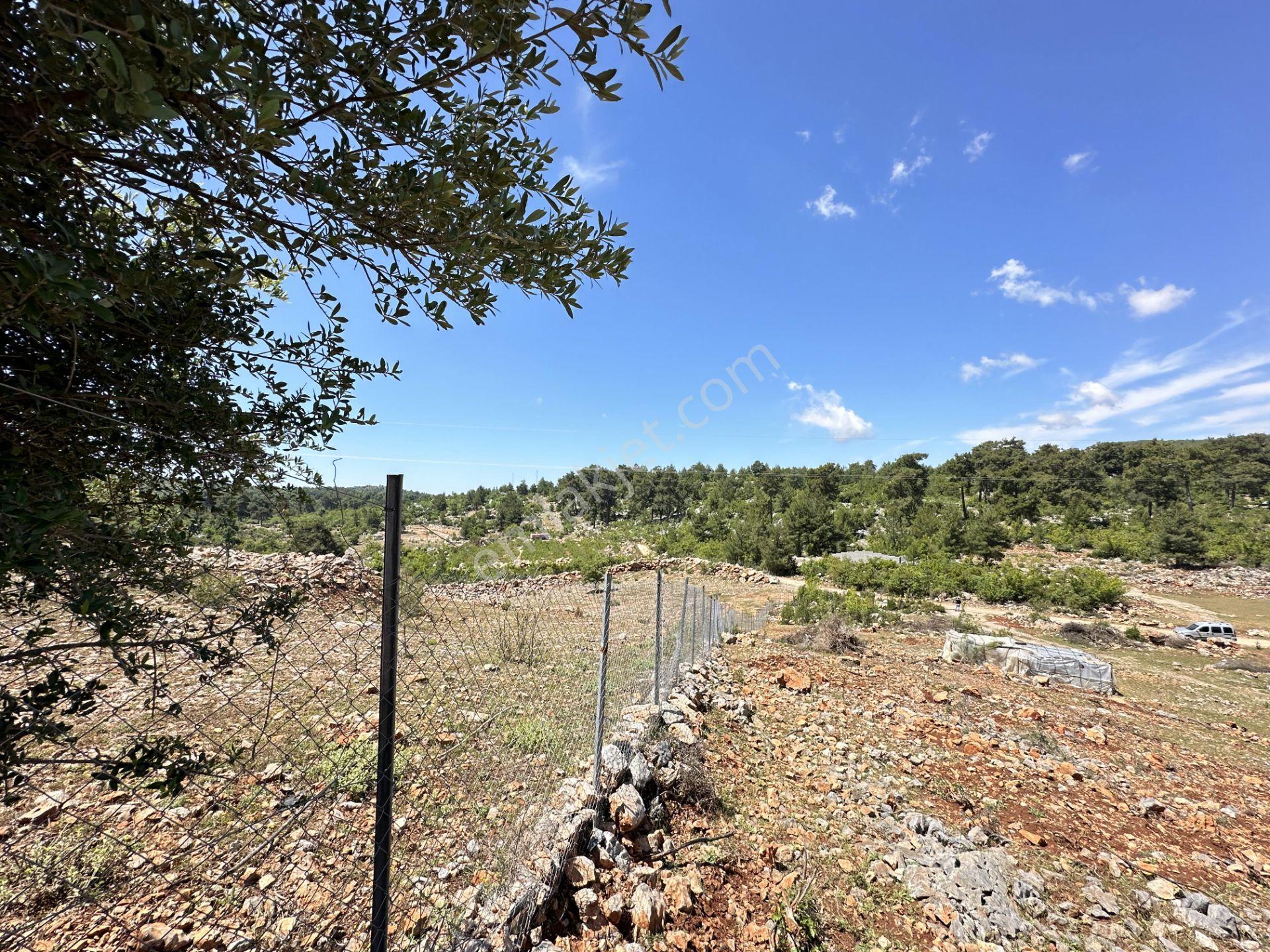 Alanya Karamanlarda Satılık 7.300 M2 Tarla - Görsel 16
