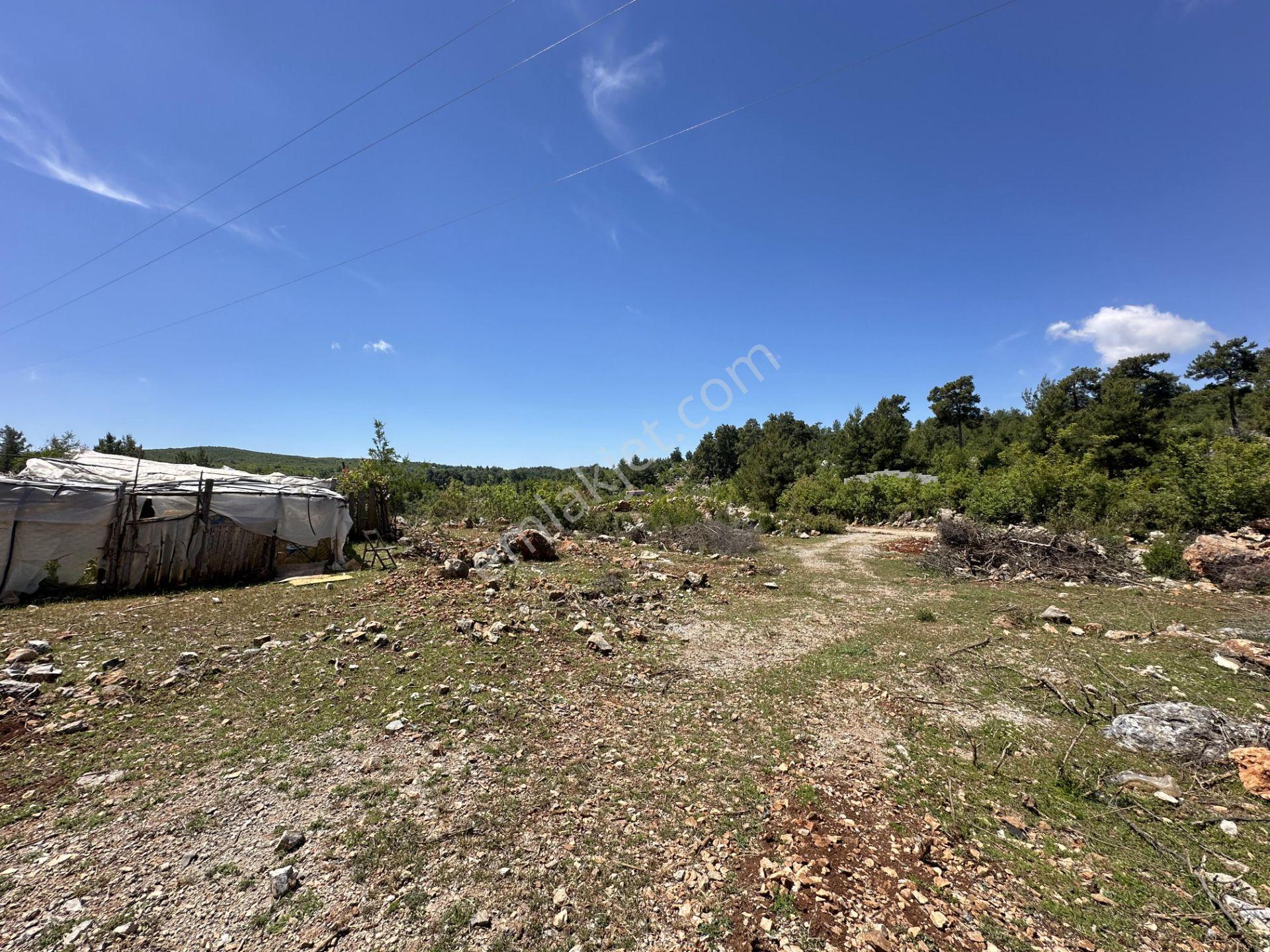 Alanya Karamanlarda Satılık 7.300 M2 Tarla - Görsel 24