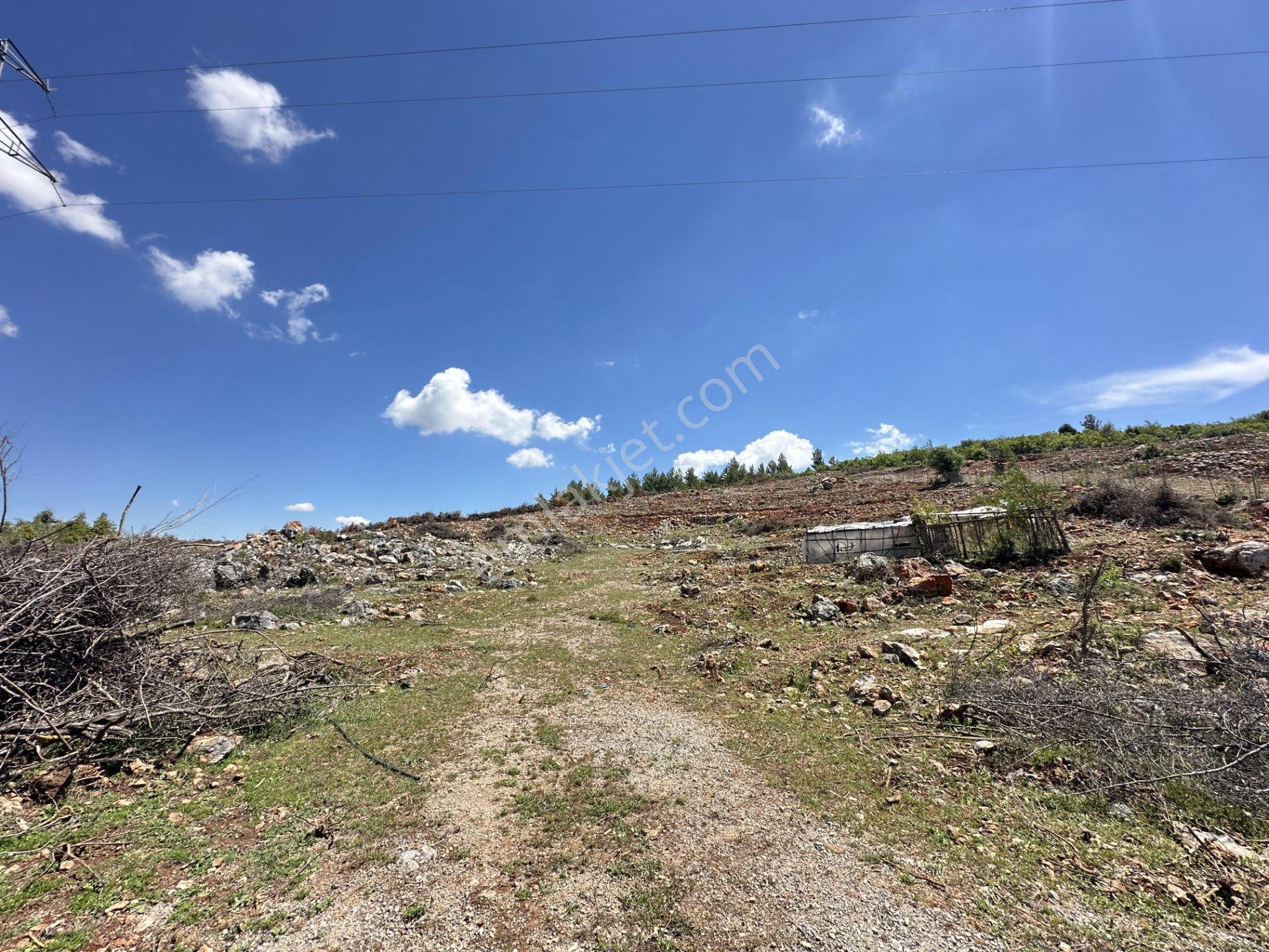 Alanya Karamanlarda Satılık 7.300 M2 Tarla - Görsel 6