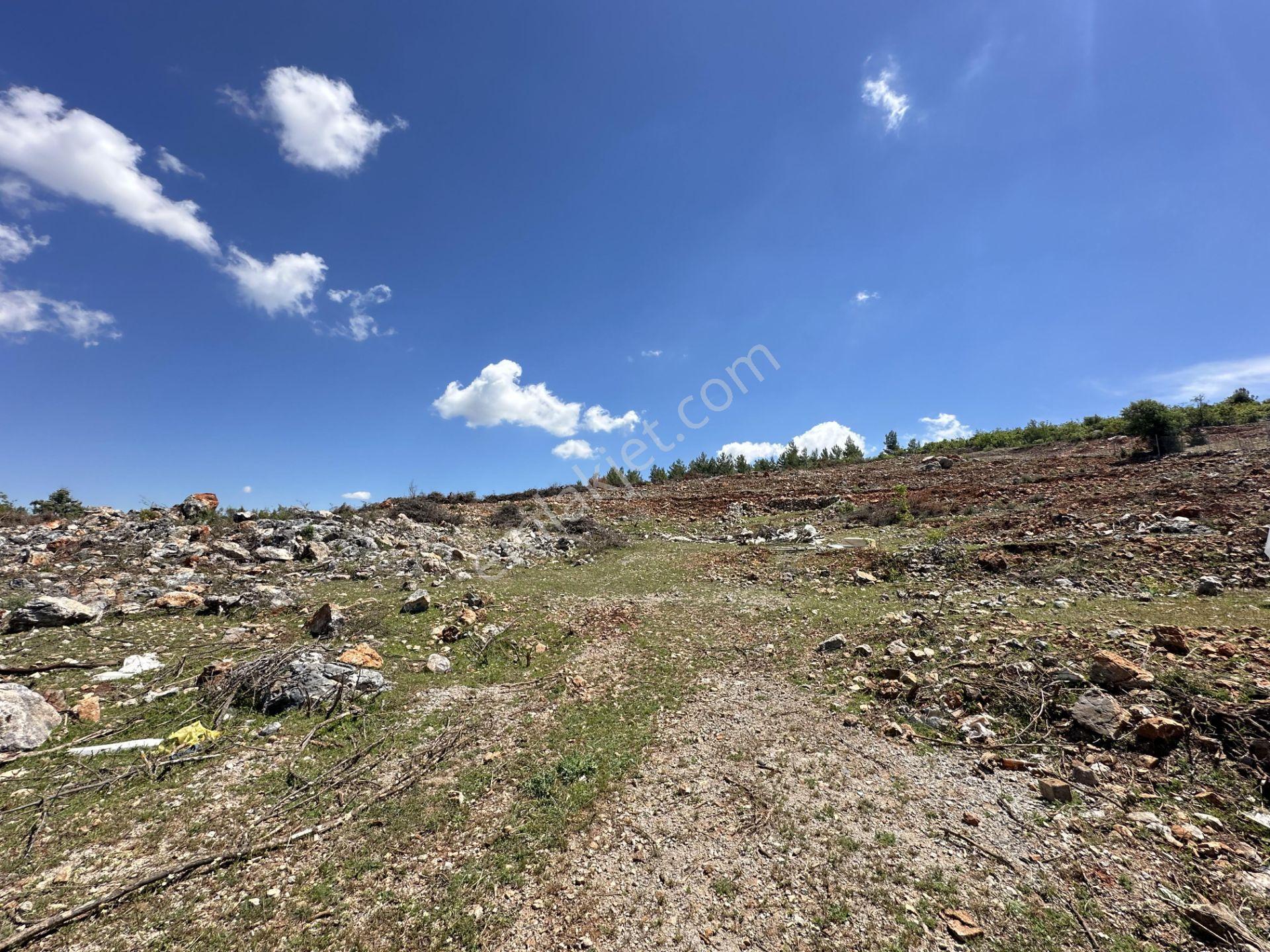 Alanya Karamanlarda Satılık 7.300 M2 Tarla - Görsel 7