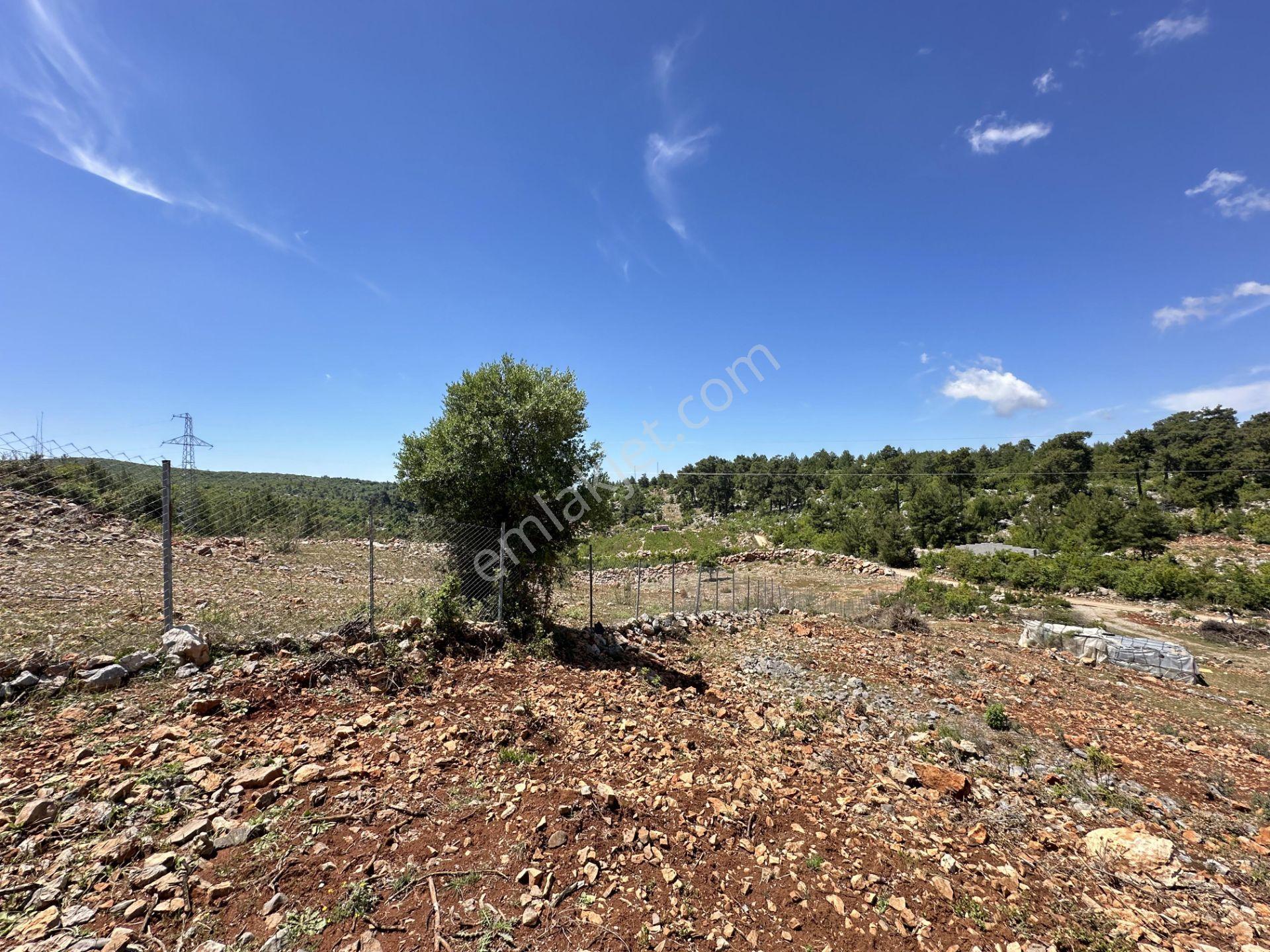 Alanya Karamanlarda Satılık 7.300 M2 Tarla - Görsel 21
