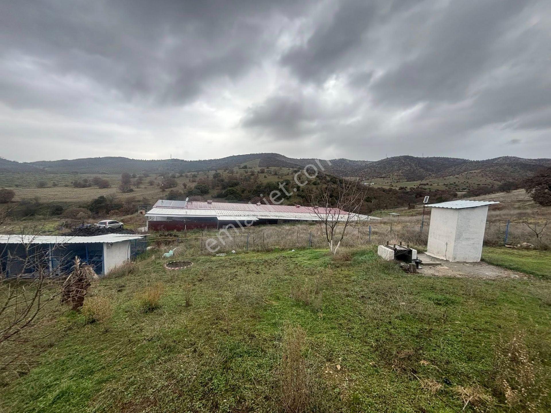 Tc Emlaktan Satılık ​ 93 Dönüm Tarla Ve Ciftlik - Görsel 12