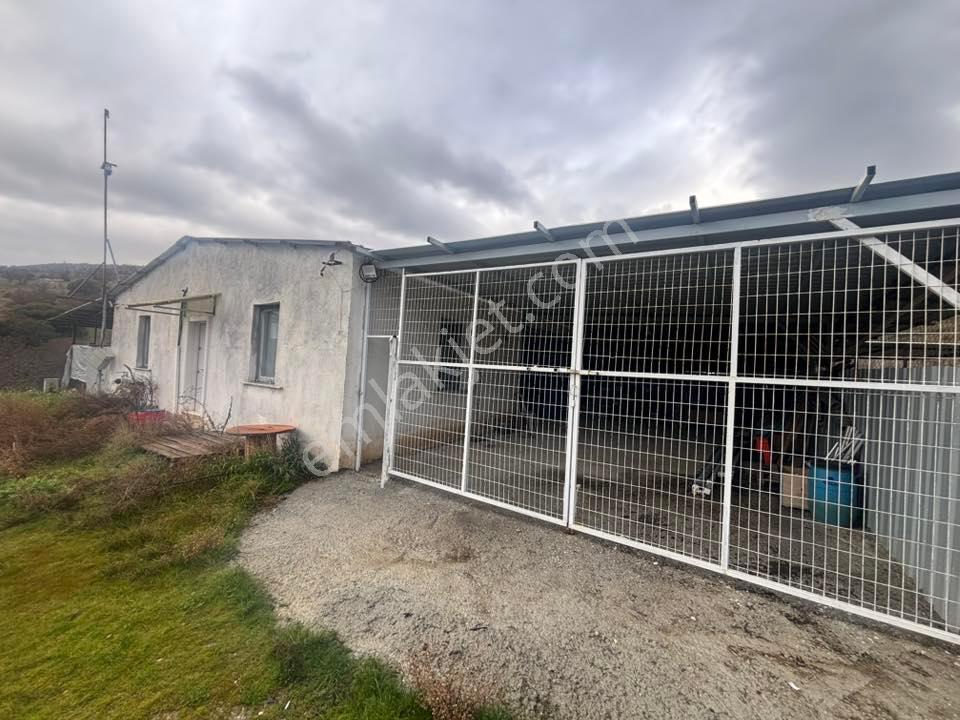 Tc Emlaktan Satılık ​ 93 Dönüm Tarla Ve Ciftlik - Görsel 10