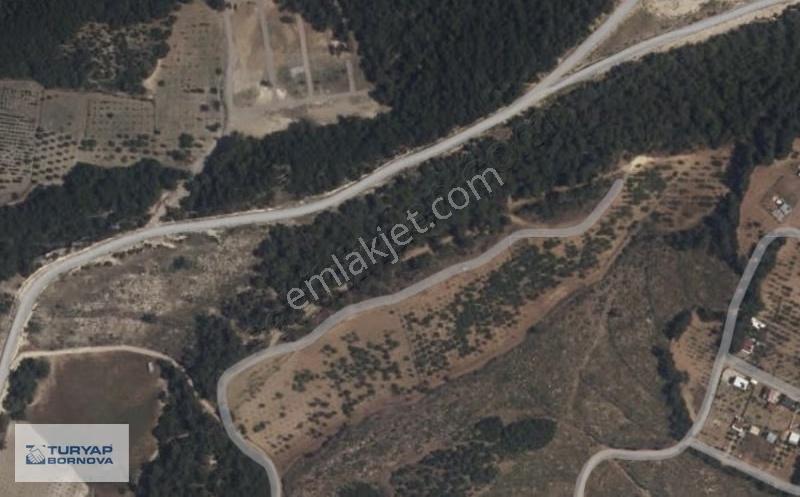 Turyap Bornova'dan Damlacık'ta 625 M2 Satılık Tarla