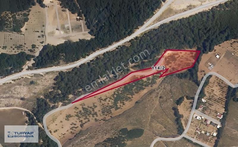 Turyap Bornova'dan Damlacık'ta 625 M2 Satılık Tarla - Görsel 2