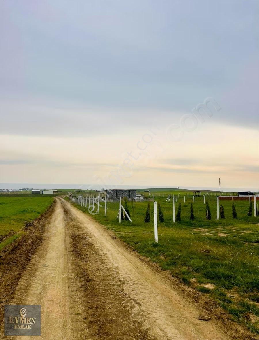 320 M Denize 4 Km Mesafede Yeniçiftlikte Arsa - Görsel 12