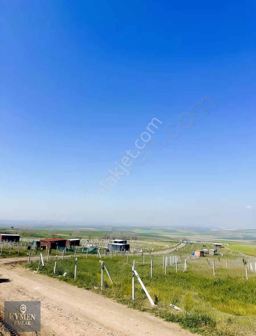 320 M Denize 4 Km Mesafede Yeniçiftlikte Arsa - Görsel 6