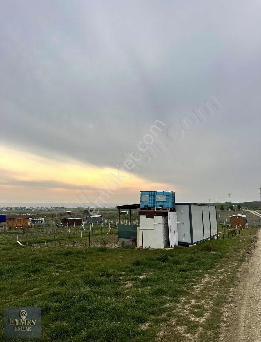 1000m2 İçinde Satılık 1+1 Konteynır Doğa Deniz! - Görsel 13
