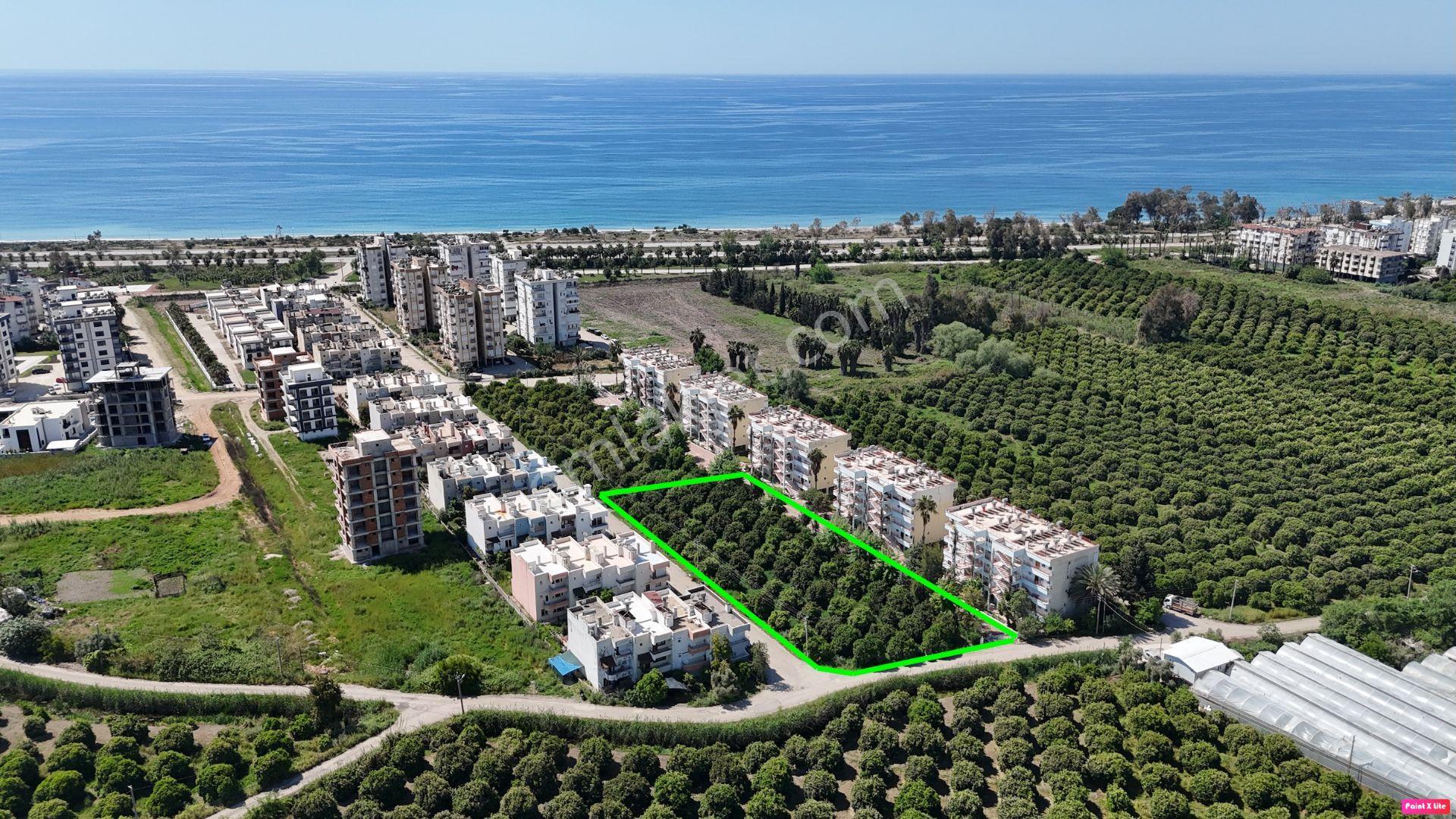 Antalya Finike Hasyurt’ta Denize 400 Metre Konut İmarlı Fırsat Arsa! - Görsel 7