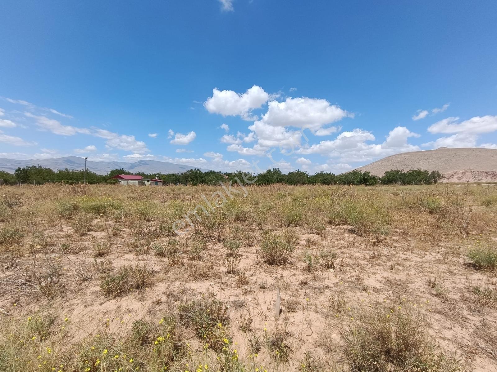 Cm Emlak Sazlıca Yeni Mah. 8.040 M2 Muhtesem Konumlu Arazi - Görsel 3