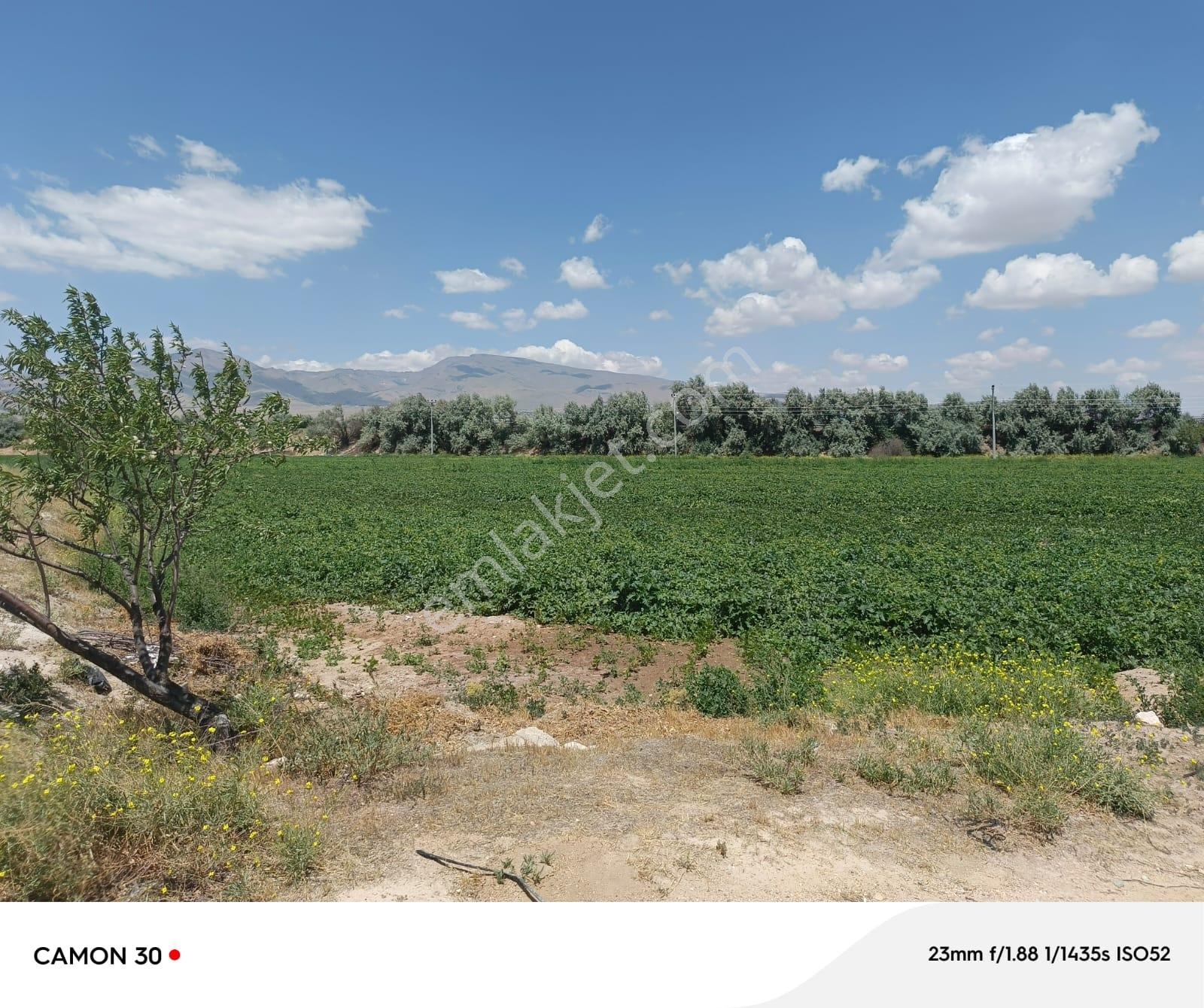 Cm Emlak Sazlıca Yukarı Mah. 10.062 M2 Muhtesem Konumlu Arazi - Görsel 13