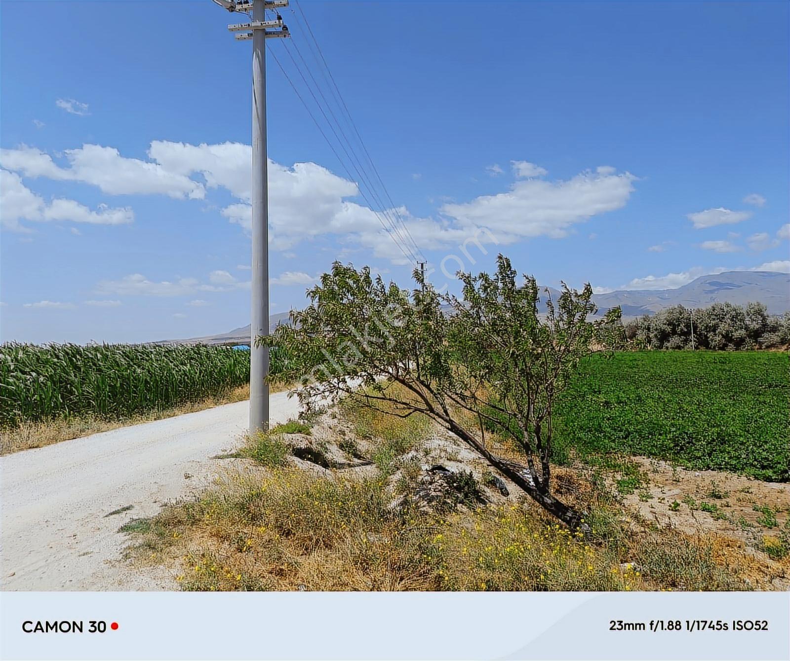 Cm Emlak Sazlıca Yukarı Mah. 10.062 M2 Muhtesem Konumlu Arazi - Görsel 12